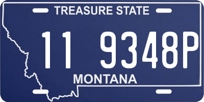 MT license plate 119348P