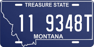 MT license plate 119348T