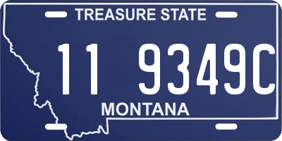 MT license plate 119349C