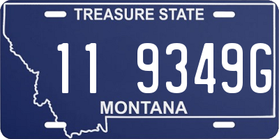 MT license plate 119349G