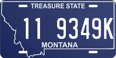 MT license plate 119349K