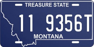 MT license plate 119356T