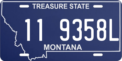 MT license plate 119358L