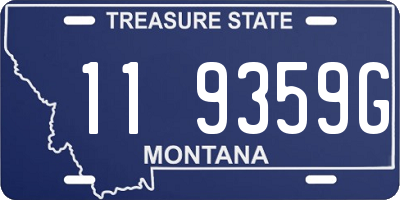 MT license plate 119359G