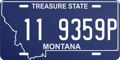 MT license plate 119359P