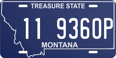 MT license plate 119360P