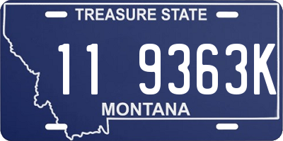 MT license plate 119363K