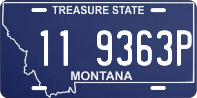 MT license plate 119363P