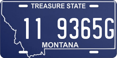 MT license plate 119365G