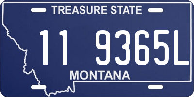 MT license plate 119365L