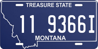 MT license plate 119366I