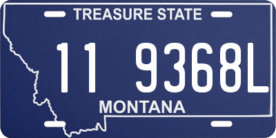 MT license plate 119368L
