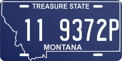 MT license plate 119372P