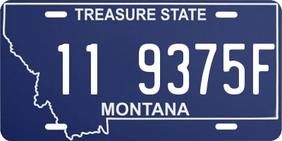 MT license plate 119375F