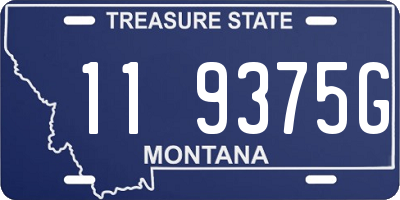 MT license plate 119375G