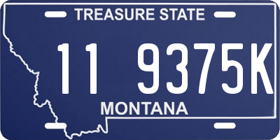 MT license plate 119375K