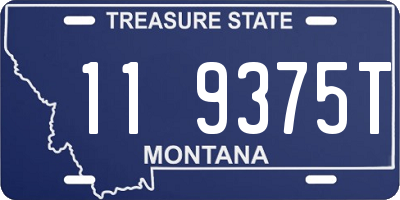 MT license plate 119375T