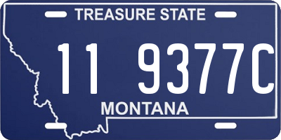 MT license plate 119377C