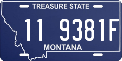 MT license plate 119381F