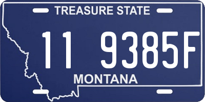 MT license plate 119385F