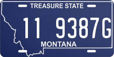 MT license plate 119387G