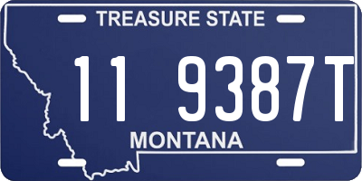 MT license plate 119387T