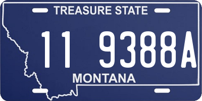 MT license plate 119388A