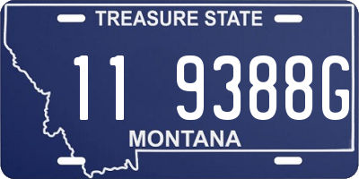 MT license plate 119388G