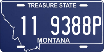 MT license plate 119388P