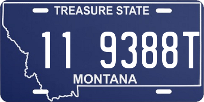 MT license plate 119388T