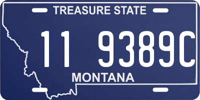 MT license plate 119389C