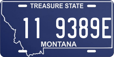 MT license plate 119389E