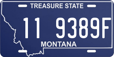MT license plate 119389F