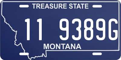 MT license plate 119389G