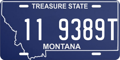 MT license plate 119389T
