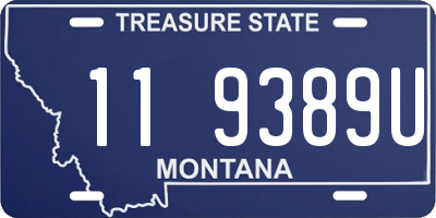 MT license plate 119389U