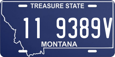 MT license plate 119389V