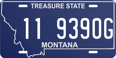 MT license plate 119390G