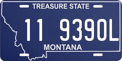 MT license plate 119390L