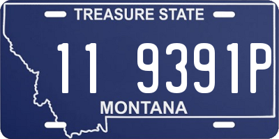 MT license plate 119391P