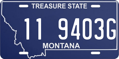 MT license plate 119403G