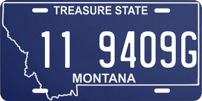 MT license plate 119409G