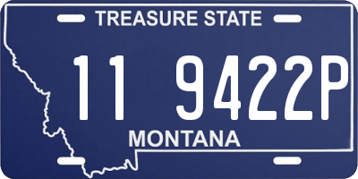 MT license plate 119422P