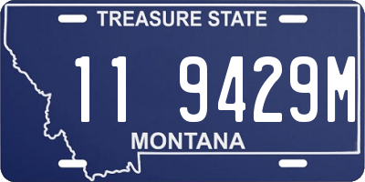 MT license plate 119429M