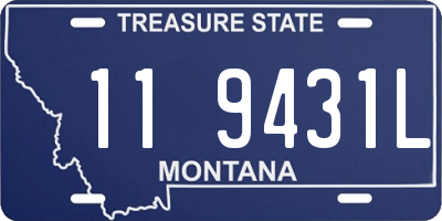 MT license plate 119431L