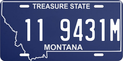 MT license plate 119431M