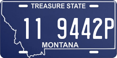 MT license plate 119442P
