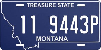 MT license plate 119443P