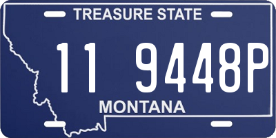 MT license plate 119448P