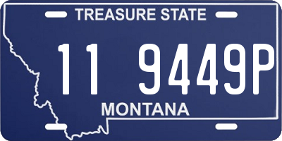 MT license plate 119449P